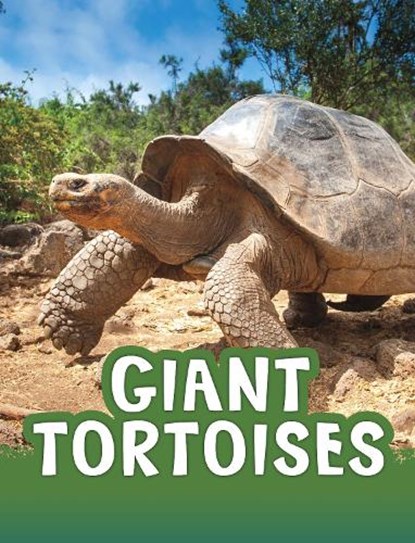 Giant Tortoises, Jaclyn Jaycox - Paperback - 9781398213104