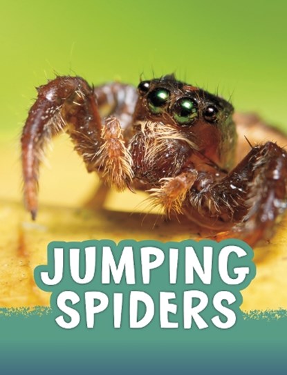 Jumping Spiders, Jaclyn Jaycox - Paperback - 9781398213128