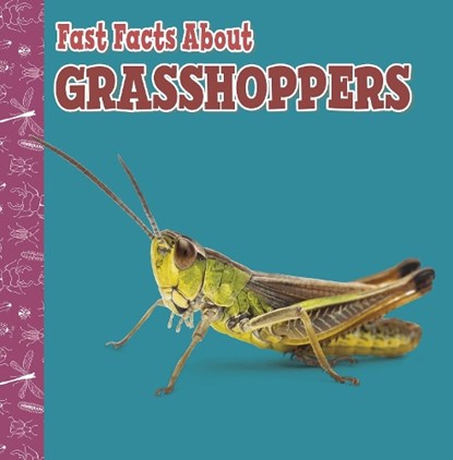 Fast Facts About Grasshoppers, Julia Garstecki-Derkovitz - Paperback - 9781398213234