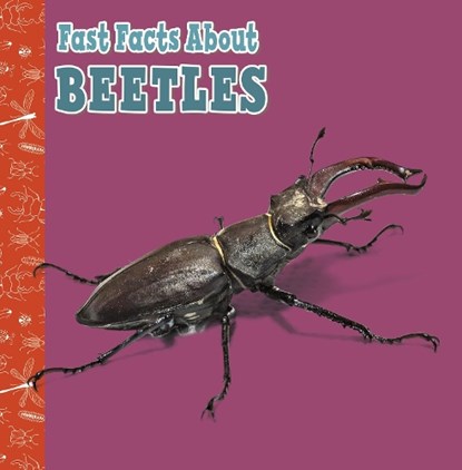Fast Facts About Beetles, Julia Garstecki-Derkovitz - Paperback - 9781398213272