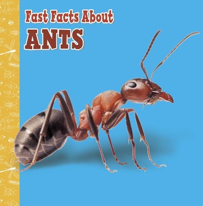Fast Facts About Ants, Lisa J. Amstutz - Paperback - 9781398213319