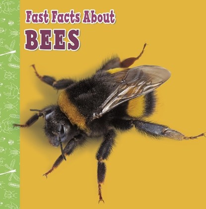 Fast Facts About Bees, Lisa J. Amstutz - Paperback - 9781398213333