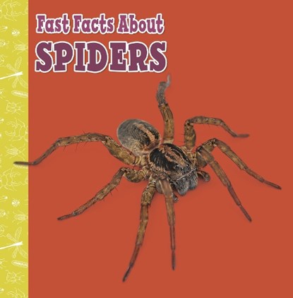 Fast Facts About Spiders, Julia Garstecki-Derkovitz - Paperback - 9781398213371