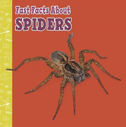Fast Facts About Spiders, Julia Garstecki-Derkovitz - Gebonden - 9781398213388