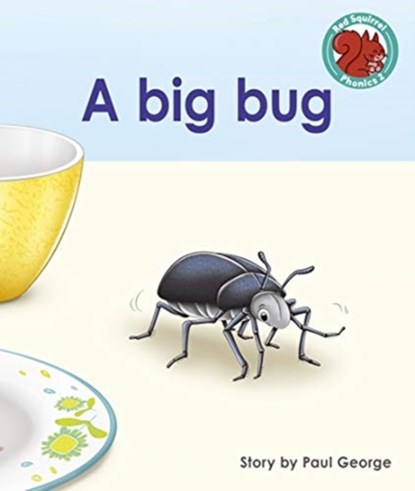 A big bug, Paul George - Paperback - 9781398216396