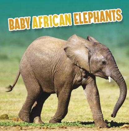 Baby African Elephants, Martha E. H. Rustad - Gebonden - 9781398223776
