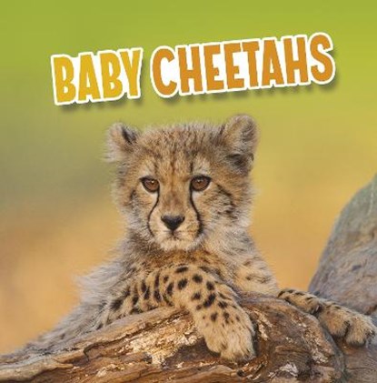 Baby Cheetahs, Martha E. H. Rustad - Gebonden - 9781398223813