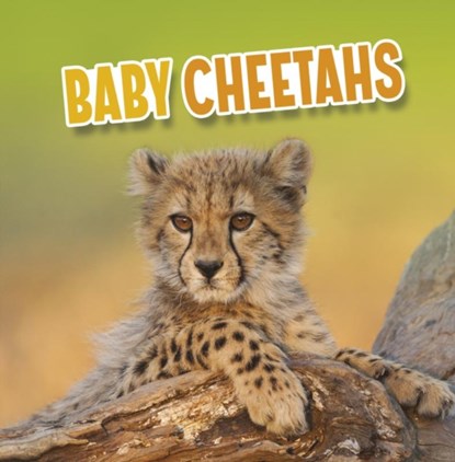 Baby Cheetahs, Martha E. H. Rustad - Paperback - 9781398223820
