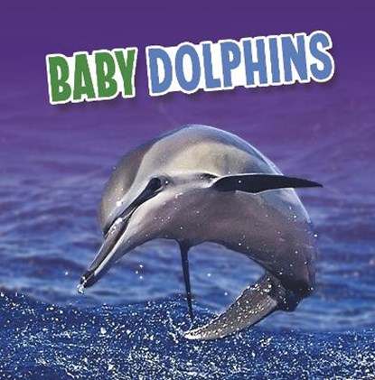 Baby Dolphins, Martha E. H. Rustad - Gebonden - 9781398223851