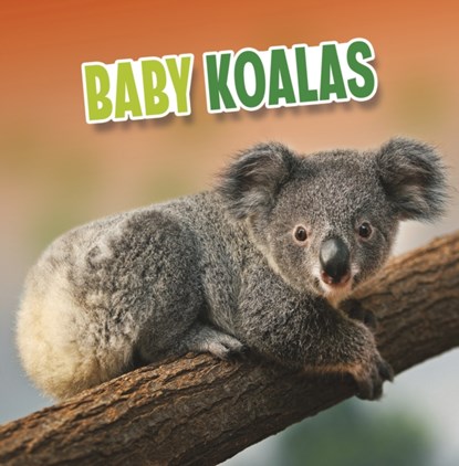 Baby Koalas, Martha E. H. Rustad - Paperback - 9781398223967