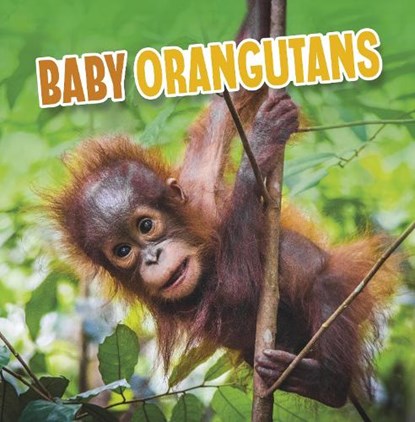 Baby Orangutans, Martha E. H. Rustad - Gebonden - 9781398223974