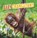 Baby Orangutans, Martha E. H. Rustad - Paperback - 9781398223981