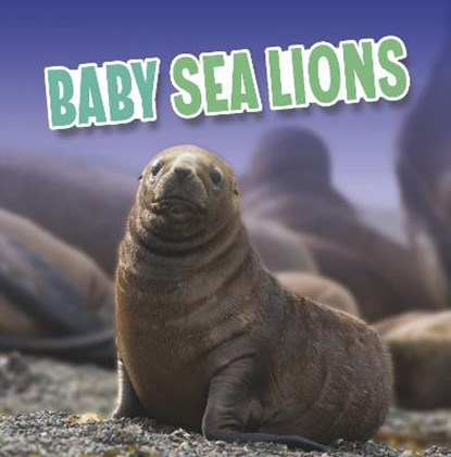 Baby Sea Lions, Martha E. H. Rustad - Gebonden - 9781398224056