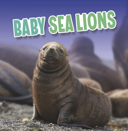 Baby Sea Lions, Martha E. H. Rustad - Paperback - 9781398224063