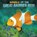 Animals of the Great Barrier Reef, Martha E. H. Rustad - Gebonden - 9781398224889