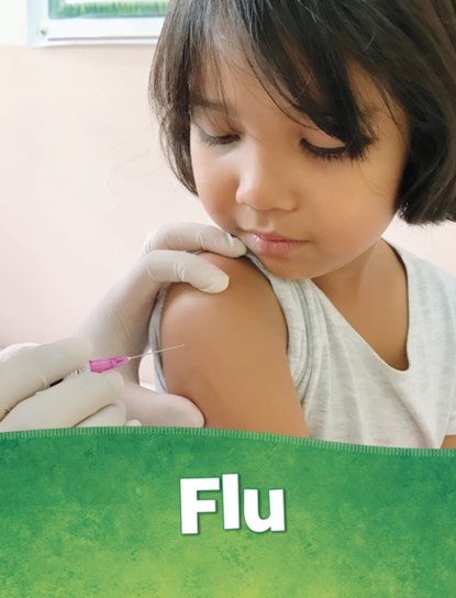 Flu, Beth Bence Reinke - Paperback - 9781398225152