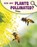 How Are Plants Pollinated?, Emily Raij - Paperback - 9781398225299