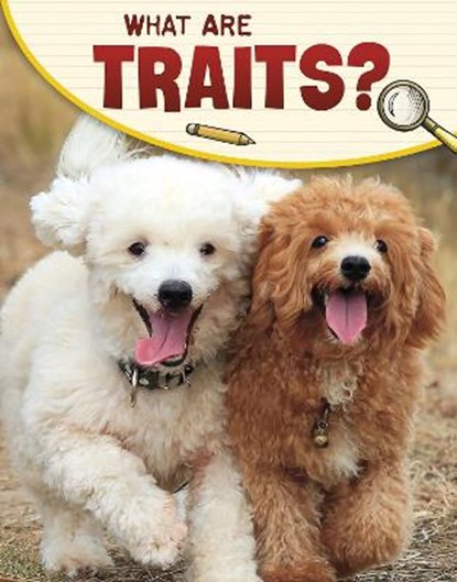 What Are Traits?, Emily Sohn - Gebonden - 9781398225428