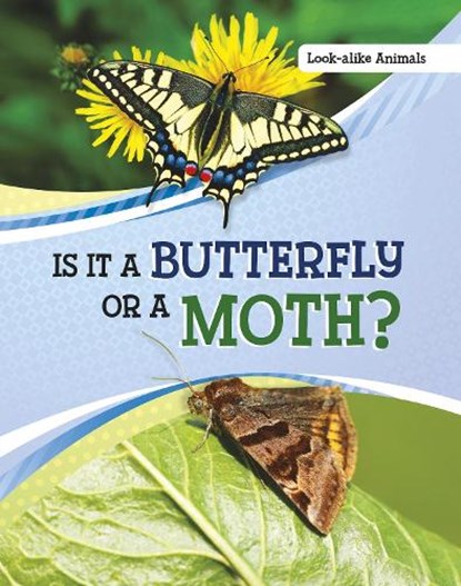 Is It a Butterfly or a Moth?, Susan B. Katz - Paperback - 9781398225565