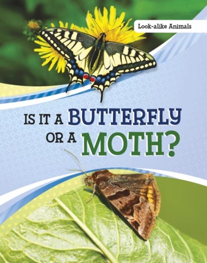 Is It a Butterfly or a Moth?, Susan B. Katz - Paperback - 9781398225565
