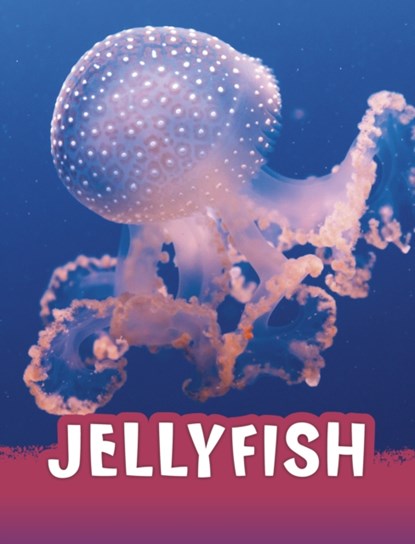Jellyfish, Jaclyn Jaycox - Paperback - 9781398238800