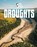 Droughts, Jaclyn Jaycox - Paperback - 9781398240728