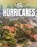 Hurricanes, Golriz Golkar - Gebonden - 9781398240834
