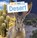 Day and Night in the Desert, Ellen Labrecque - Paperback - 9781398241770