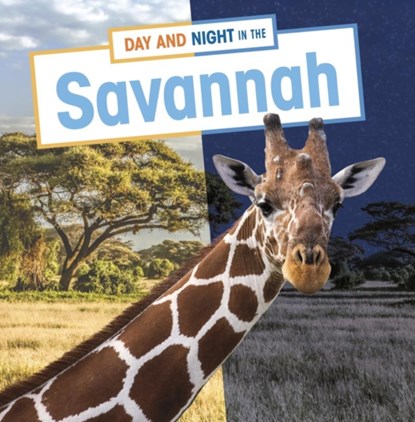Day and Night in the Savannah, Mary Boone - Paperback - 9781398241893
