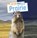 Day and Night on the Prairie, Ellen Labrecque - Paperback - 9781398241930