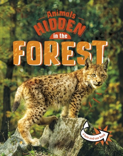 Animals Hidden in the Forest, Jessica Rusick - Paperback - 9781398242456