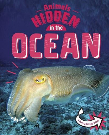 Animals Hidden in the Ocean, Jessica Rusick - Gebonden - 9781398242487