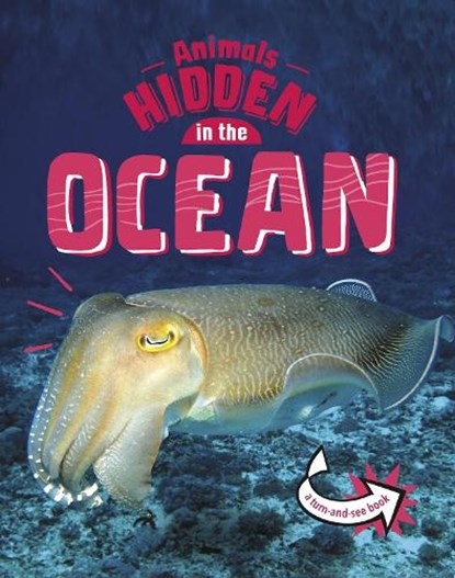 Animals Hidden in the Ocean, Jessica Rusick - Paperback - 9781398242494