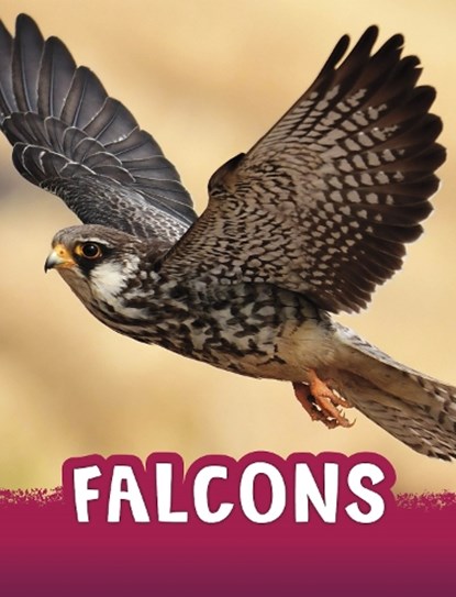 Falcons, Jaclyn Jaycox - Paperback - 9781398243965