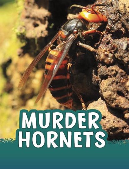 Murder Hornets, Jaclyn Jaycox - Paperback - 9781398244047