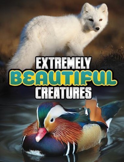 Extremely Beautiful Creatures, Megan Cooley Peterson - Paperback - 9781398244801