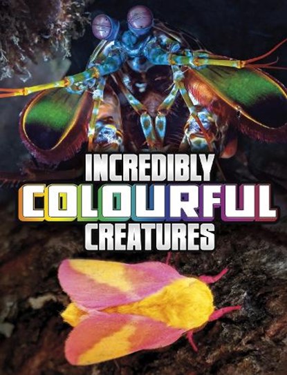 Incredibly Colourful Creatures, Megan Cooley Peterson - Paperback - 9781398244887