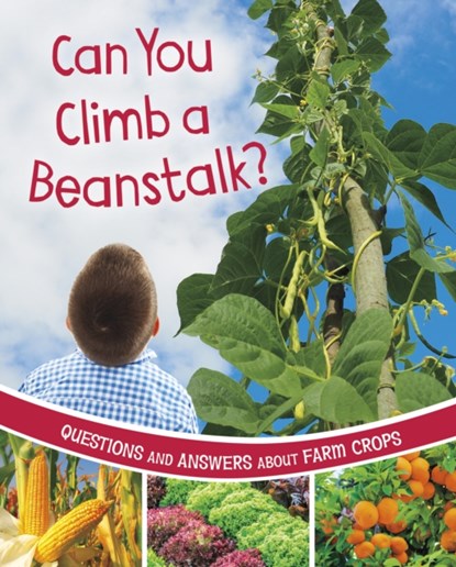 Can You Climb a Beanstalk?, Katherine Rawson - Gebonden - 9781398248502