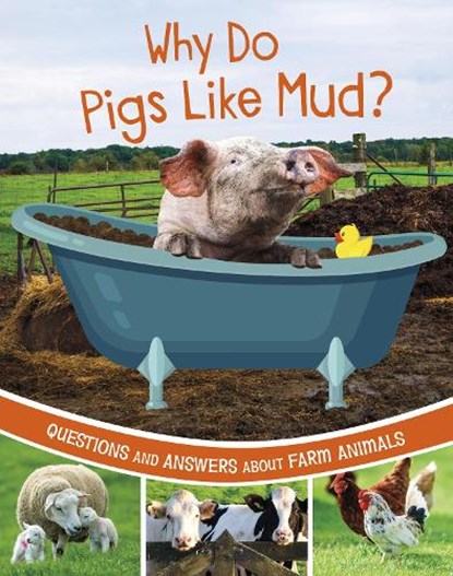 Why Do Pigs Like Mud?, Katherine Rawson - Paperback - 9781398248533