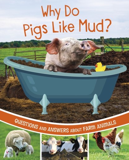 Why Do Pigs Like Mud?, Katherine Rawson - Gebonden - 9781398248540