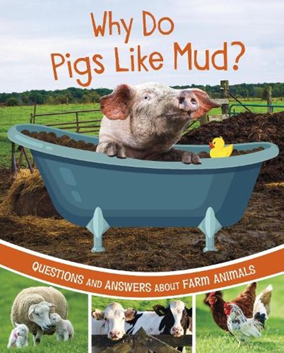 Why Do Pigs Like Mud?, Katherine Rawson - Gebonden - 9781398248540