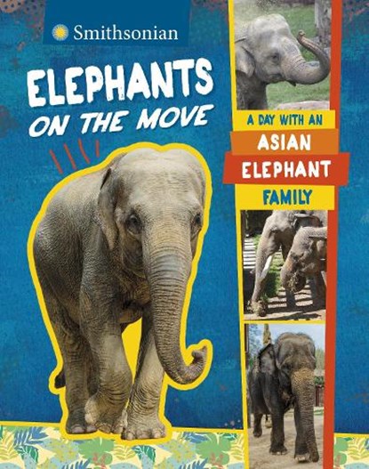 Elephants on the Move, Lela Nargi - Paperback - 9781398249134