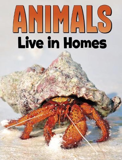 Animals Live in Homes, Nadia Ali - Paperback - 9781398250215