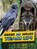 Ravens and Wolves Team Up!, Stephanie True Peters - Paperback - 9781398253667