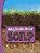 Why Do We Need Soil?, Laura K. Murray - Paperback - 9781398253797