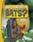 Why Do We Need Bats?, Laura K. Murray - Paperback - 9781398253834