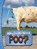Why Do We Need Poo?, Laura K. Murray - Paperback - 9781398253858