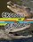 Crocodile vs Deinosuchus, Charles C. Hofer - Gebonden - 9781398256040