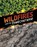 Wildfires and the Environment, Marcia Amidon Lusted - Gebonden - 9781398258235