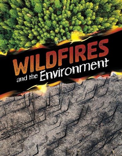 Wildfires and the Environment, Marcia Amidon Lusted - Gebonden - 9781398258235